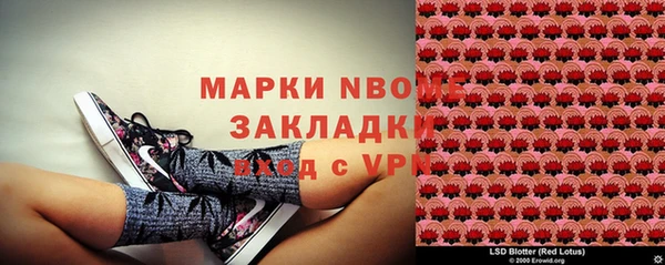тгк Саранск