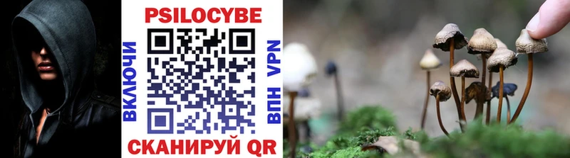 Галлюциногенные грибы GOLDEN TEACHER  где можно купить   Сосногорск 